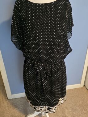 White House Black Market Black Polka Dot Midi Dress with Ivory Border